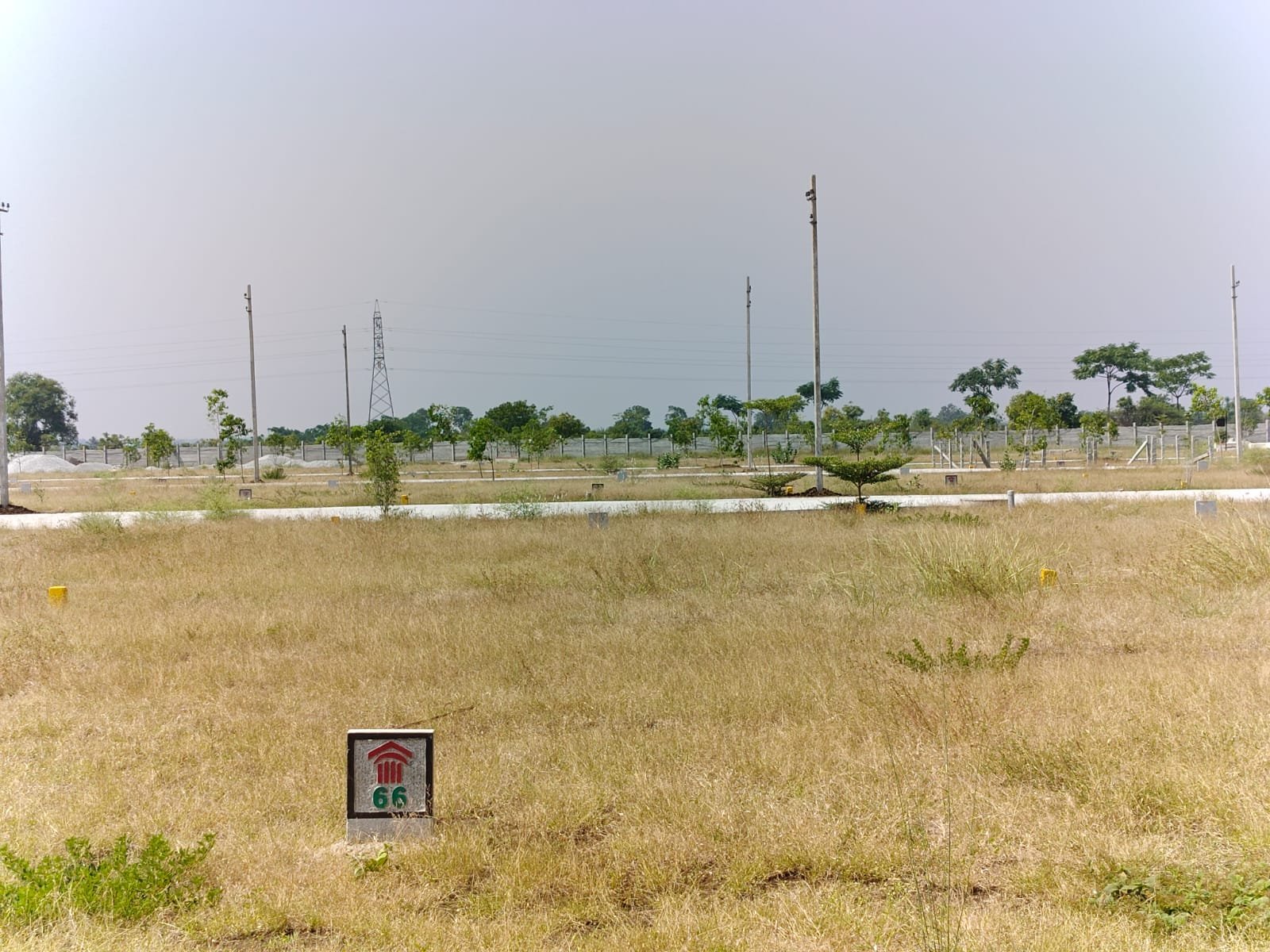 WhatsApp Image 2026-01-11 at 7.04.40 PM