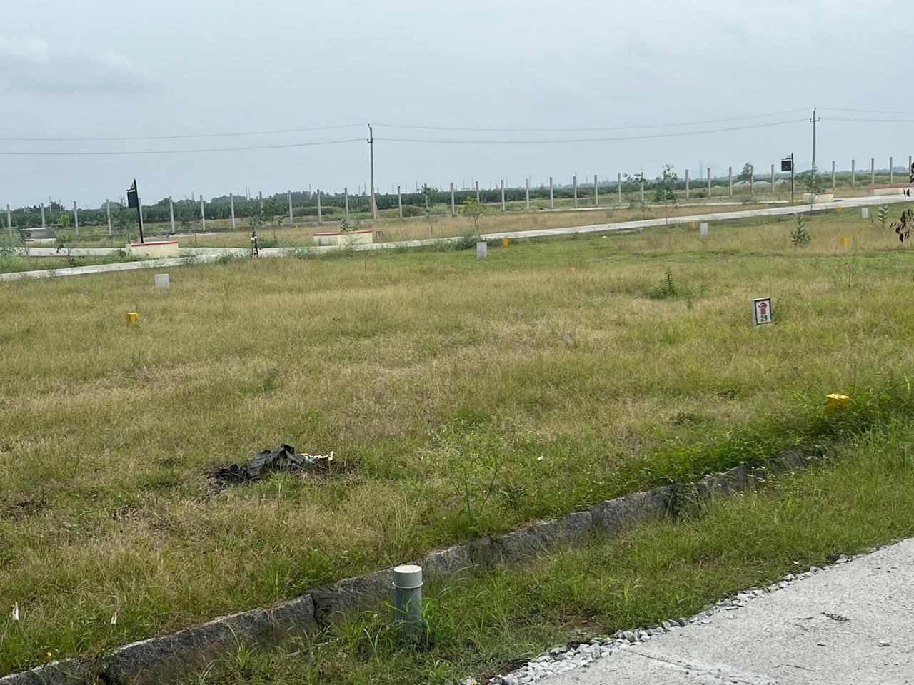 WhatsApp Image 2026-01-11 at 7.04.43 PM