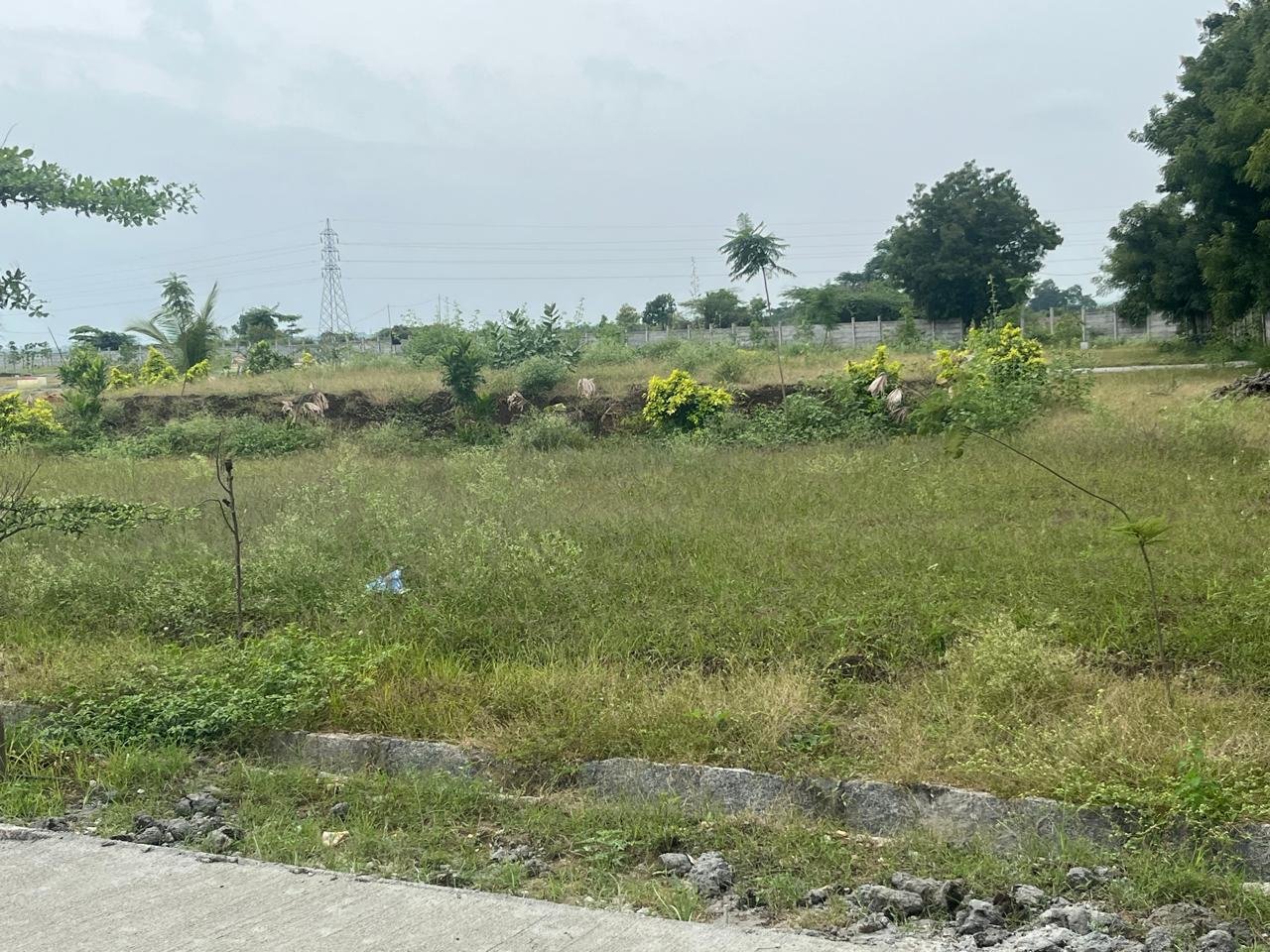 WhatsApp Image 2026-01-11 at 7.04.44 PM