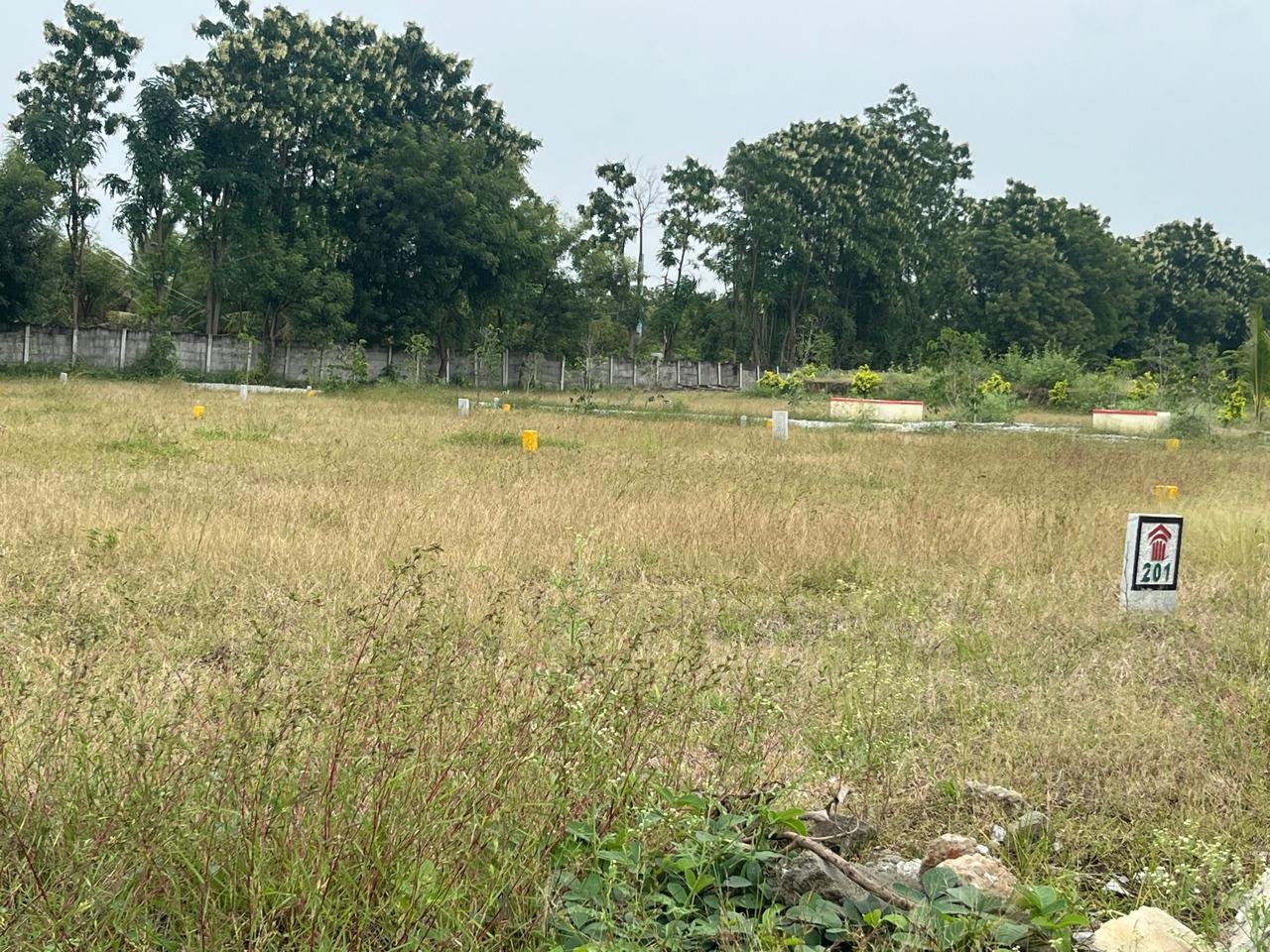 WhatsApp Image 2026-01-11 at 7.04.46 PM