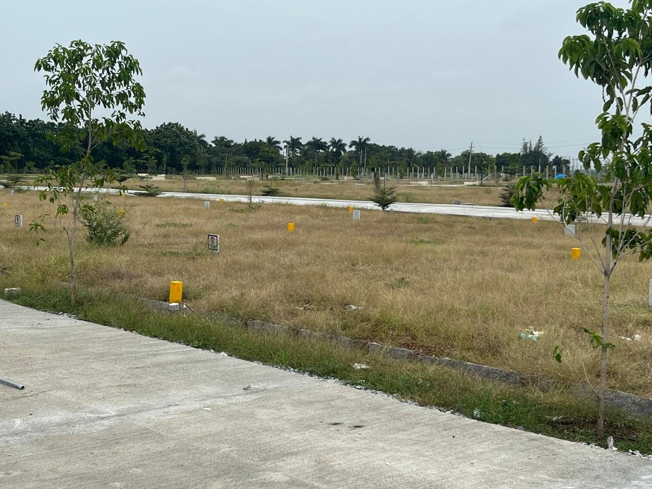 WhatsApp Image 2026-01-11 at 7.04.54 PM